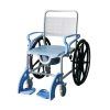 02 Multifunktionaler Rollstuhl mit Dusch- und Toilettensitz