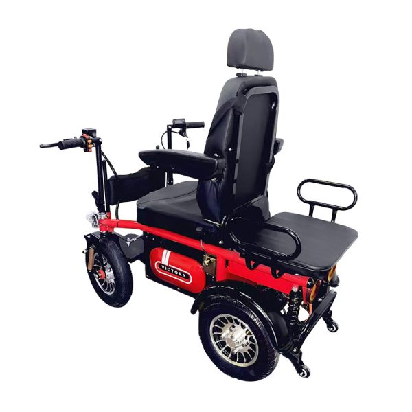 03 Elektrischer Offroad-Rollstuhl mit hoher Kapazität (bis 200 kg)